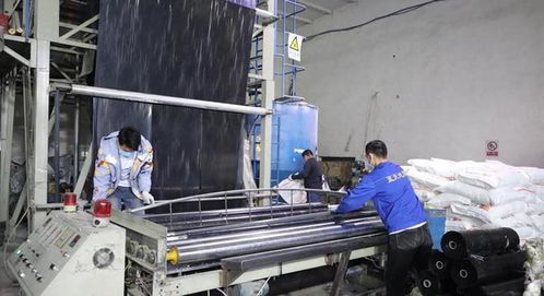 新疆阿勒泰市 農(nóng)資企業(yè)開足馬力生產(chǎn)